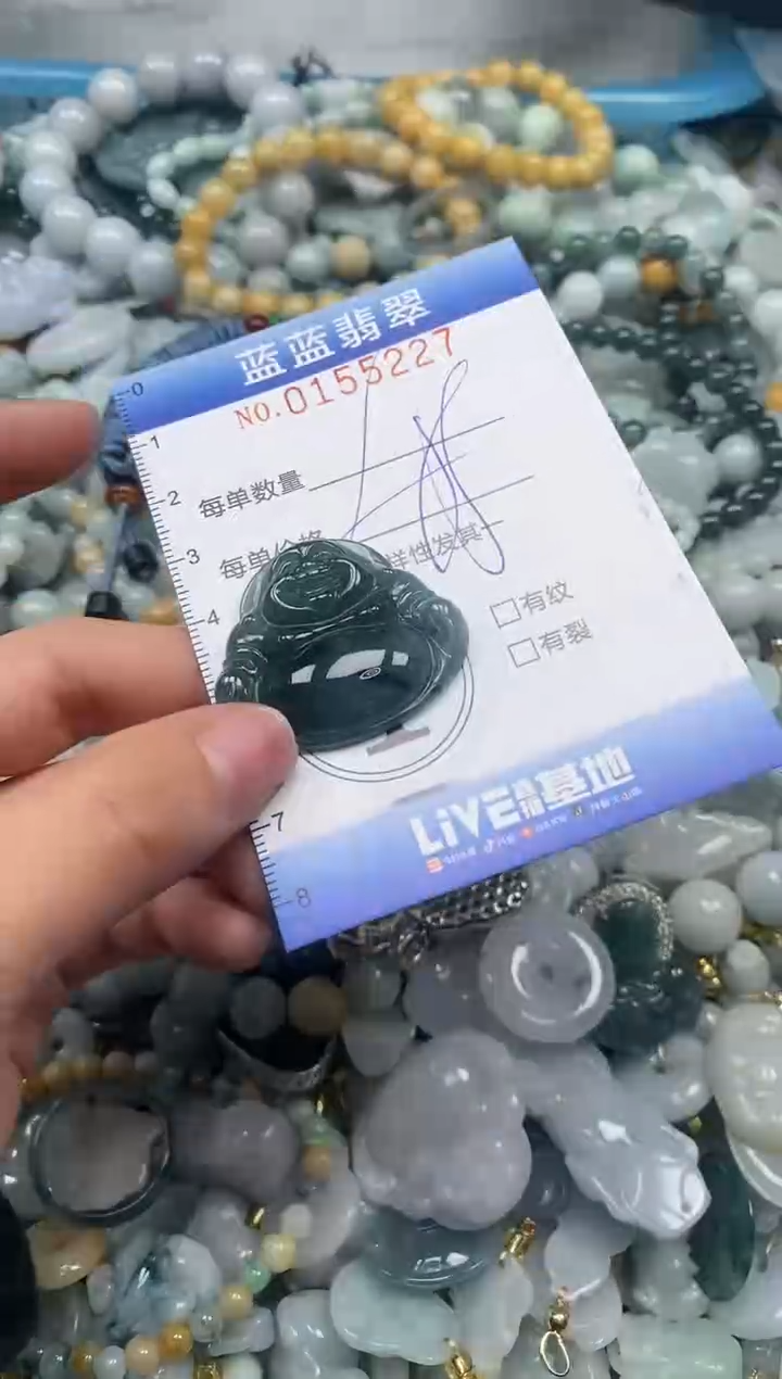 【闪购商品】翡翠颈饰未镶嵌闪购0155227