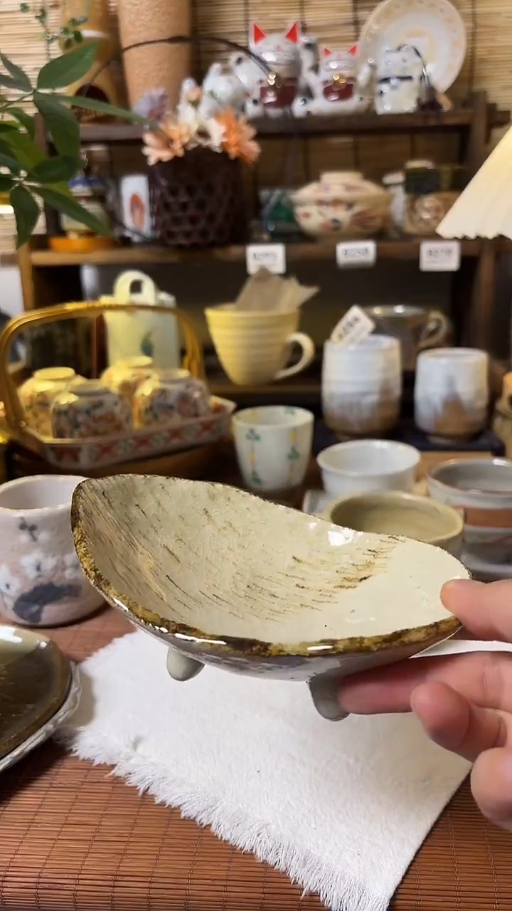 瓷片喵喵家都是大漂亮