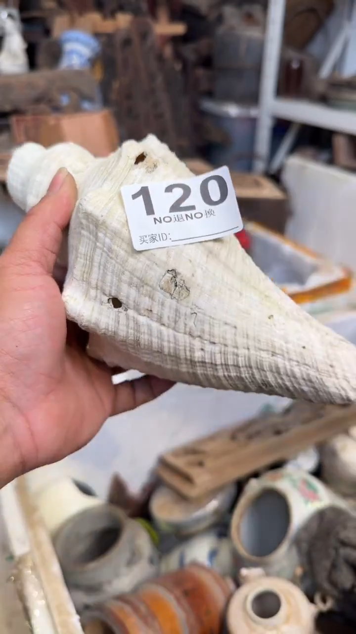 相****云33333333333333