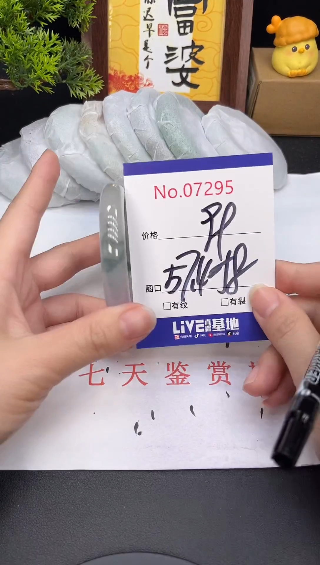 未镶嵌手镯翡翠7295