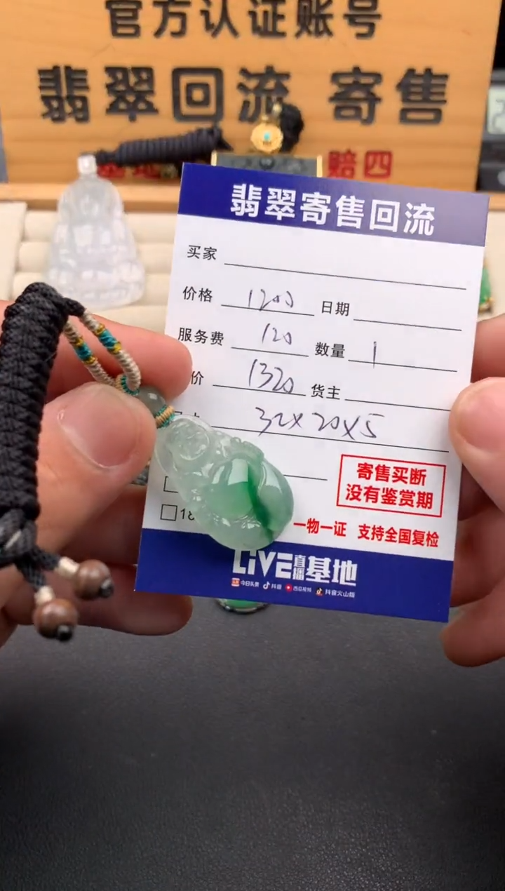 翡翠未镶嵌颈饰10141939