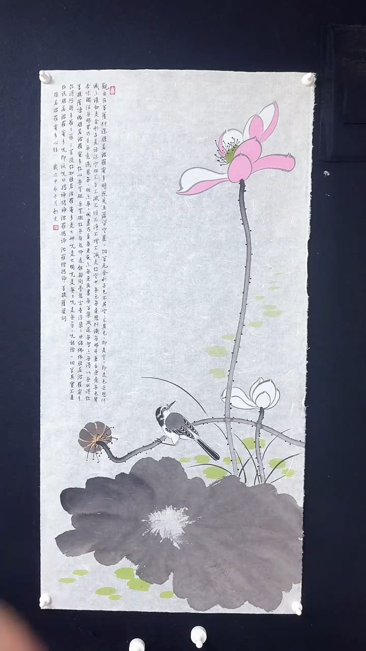 【闪购商品】国画绘画荷花心经