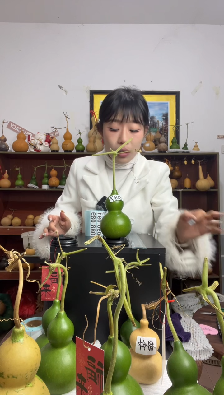 087天然葫芦摆件 一物一拍龙头不保售后