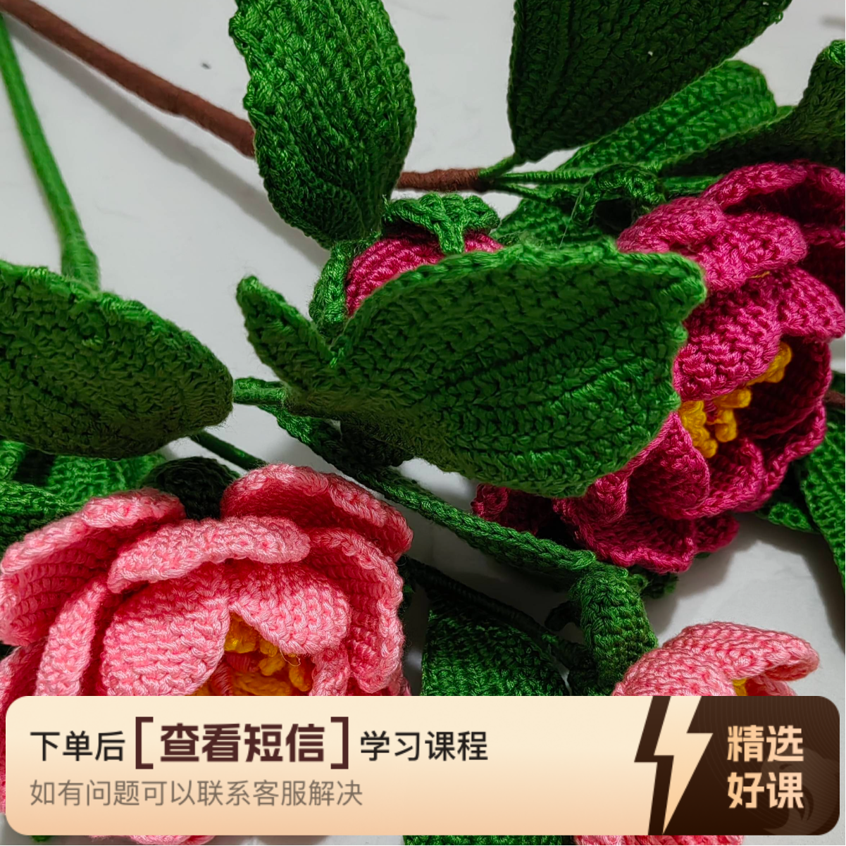 雨蝶原创精品小盆栽视频教程（留意短信解锁课程）