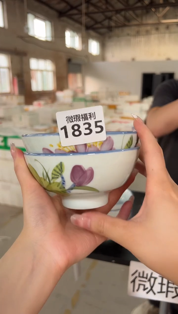 碗2只装 景德镇高温釉下手绘陶瓷