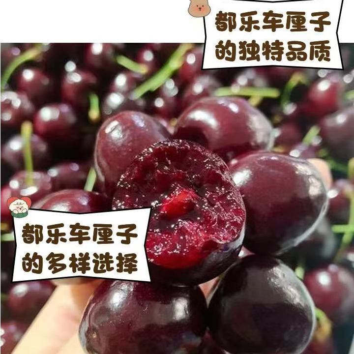 【壹壹生鲜同城配送】吉制智利车厘子/2J/海运 /净重2500g左右智利