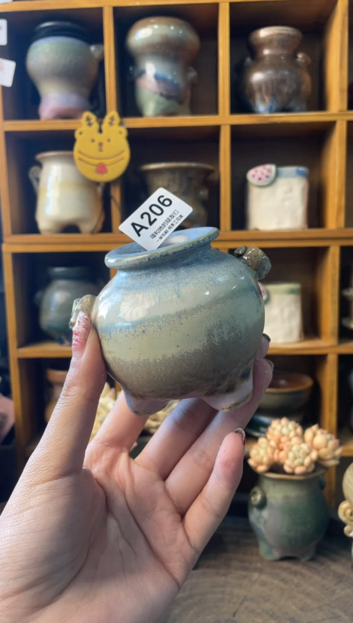 206内口4【多肉花盆多肉盆】