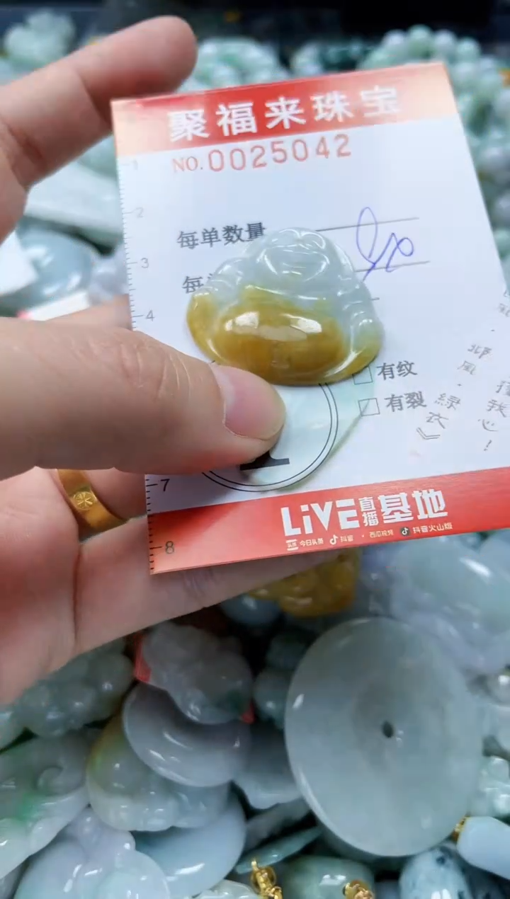 【闪购商品】翡翠颈饰未镶嵌闪购0025042