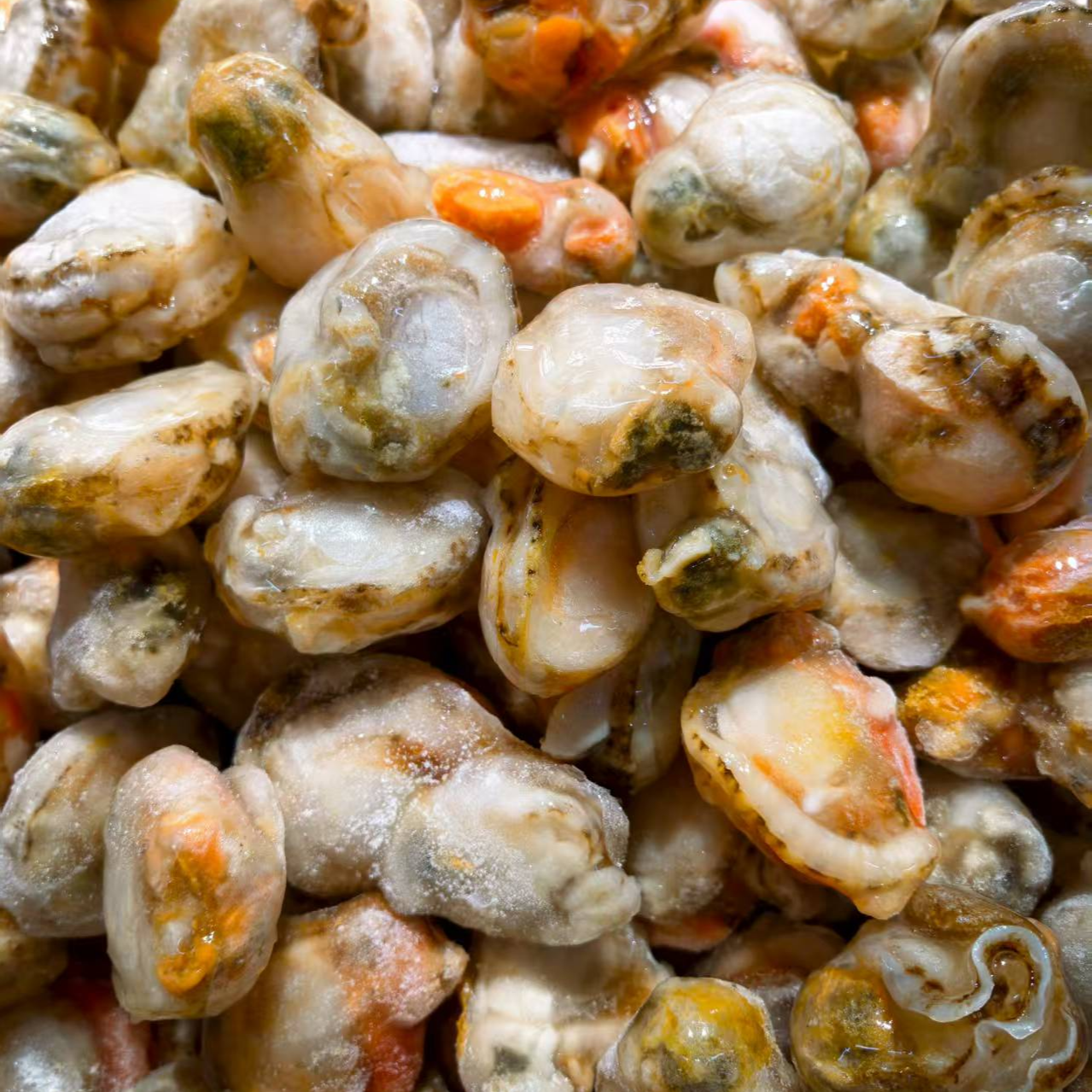 特价扇贝肉2斤（海鲜）