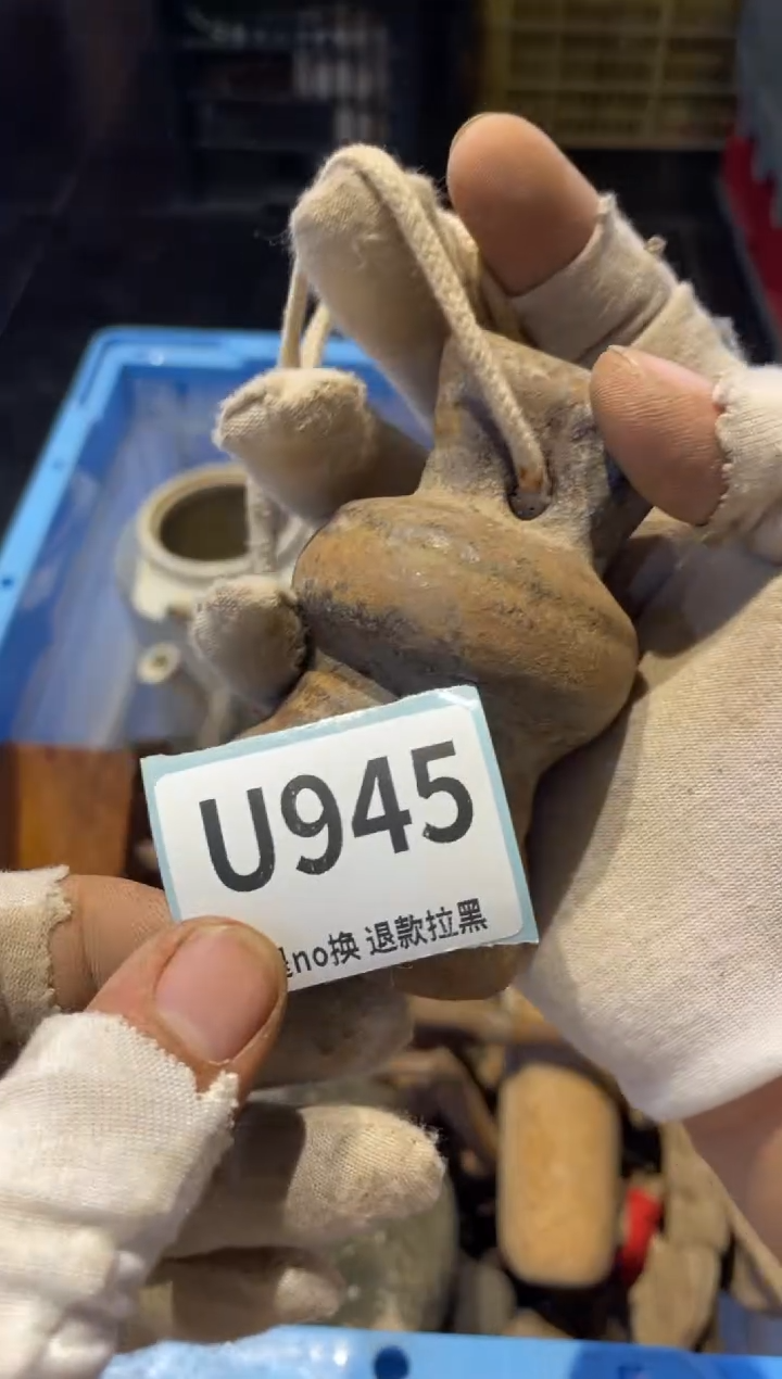 瓷片闲**人表弟直播链接火爆