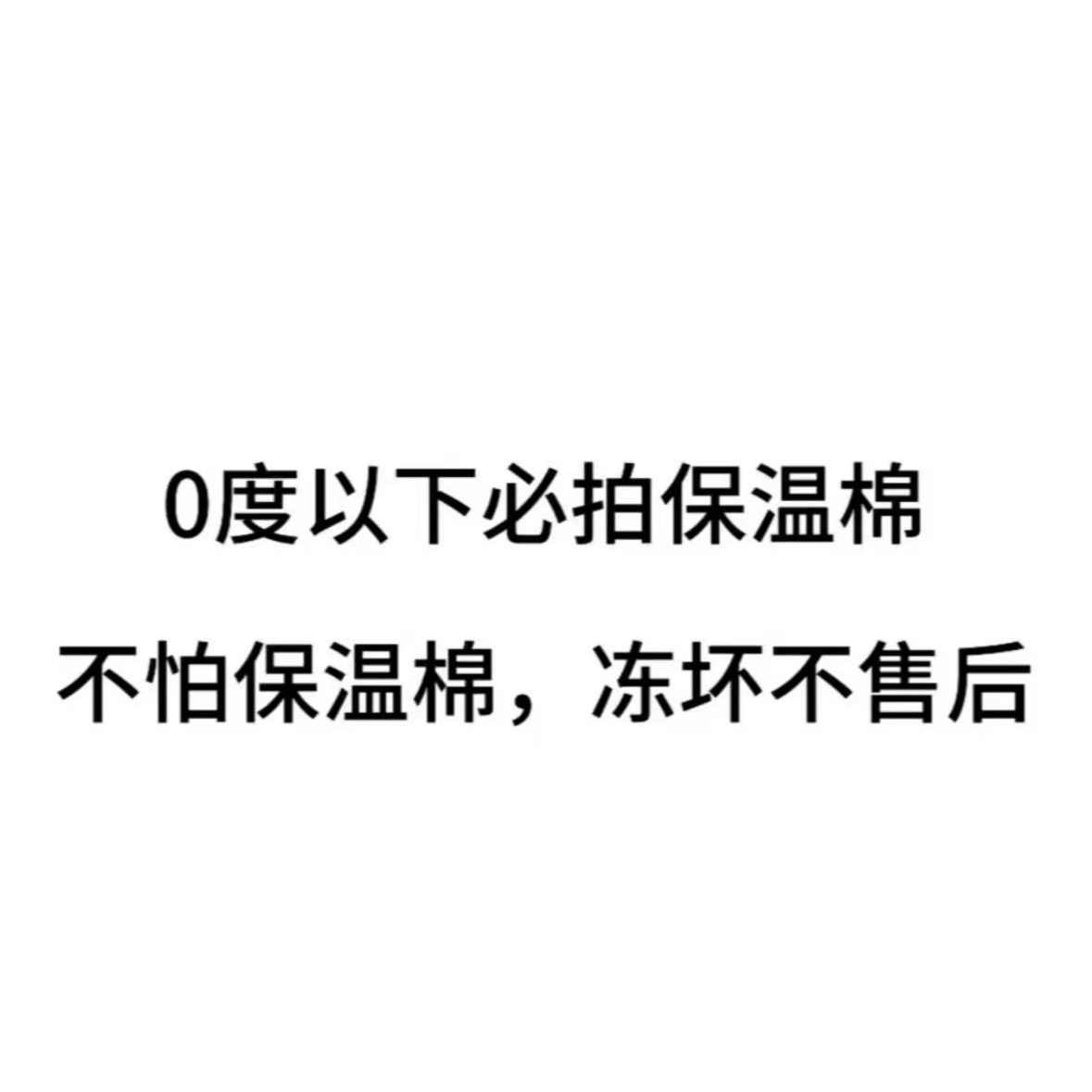 （保温棉）0度以下必拍 （和盆栽一起打包，不拍冻死无售后）