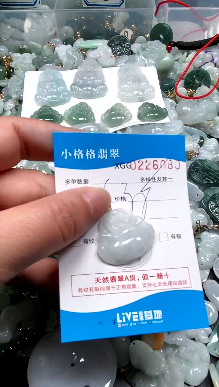 【闪购商品】翡翠颈饰未镶嵌闪购商品0226080