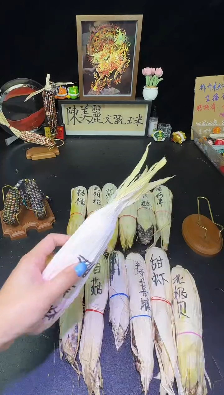 奶***?红红火火恍恍惚惚哈哈哈哈哈