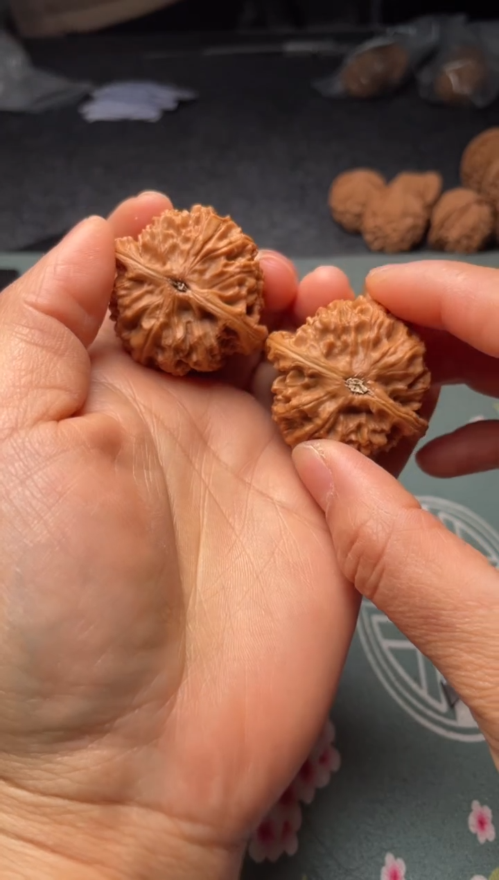 把件文玩核桃w254   水龙纹 41尺