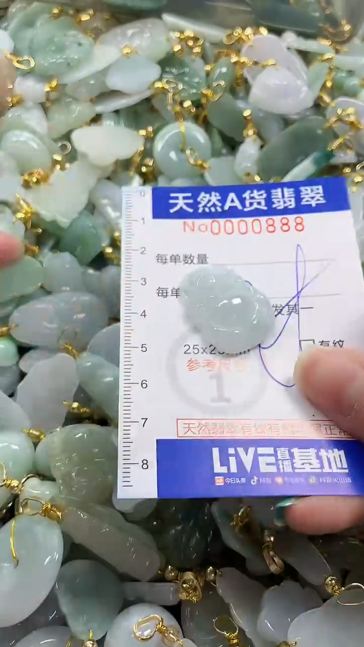 颈饰未镶嵌翡翠纯天然a货翡翠