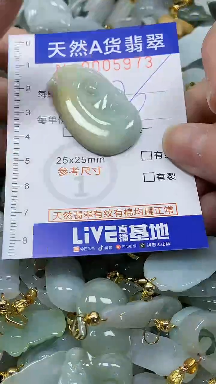 颈饰未镶嵌翡翠纯天然a货翡翠