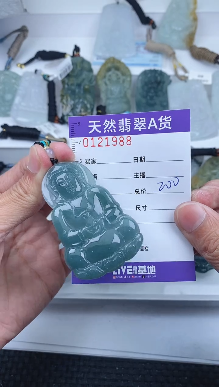 【闪购商品】翡翠颈饰未镶嵌       988