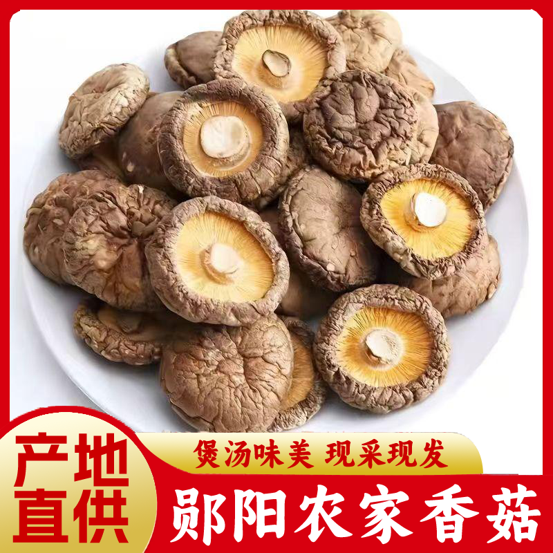 农家特产香菇干货肉厚无根可炖煮菌汤