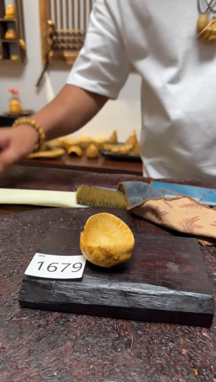 竹1679竹竹竹竹竹竹竹