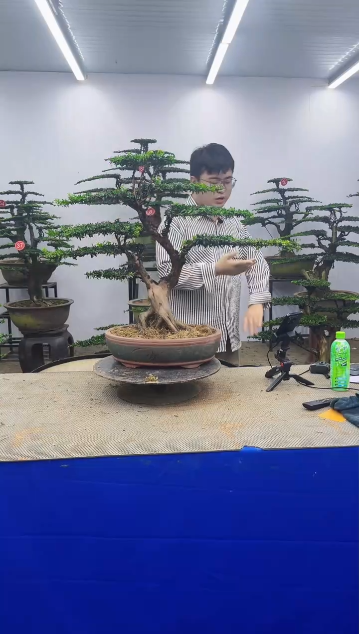 无花朵心***阳一物一拍，所见即所得