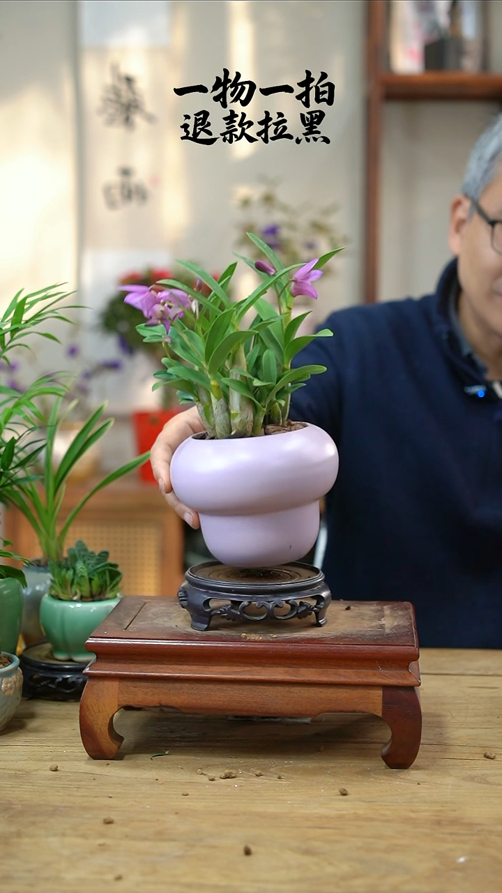 完全开放i****k石斛兰048