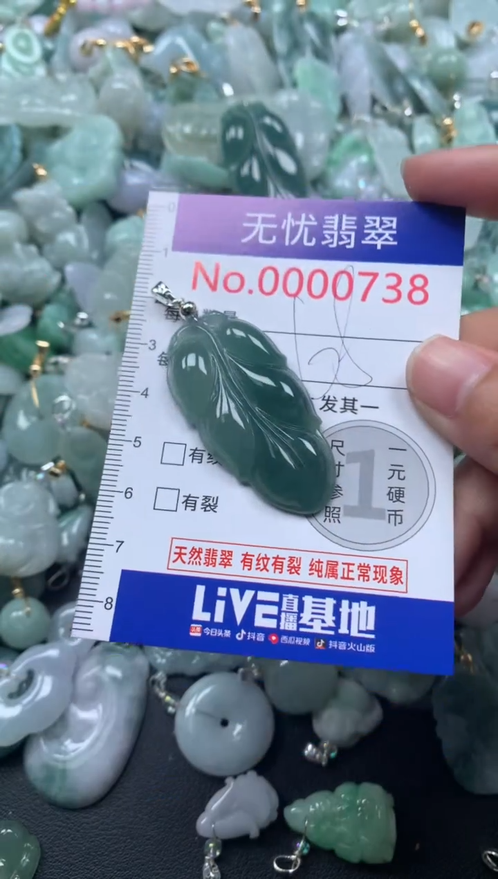 颈饰未镶嵌翡翠738
