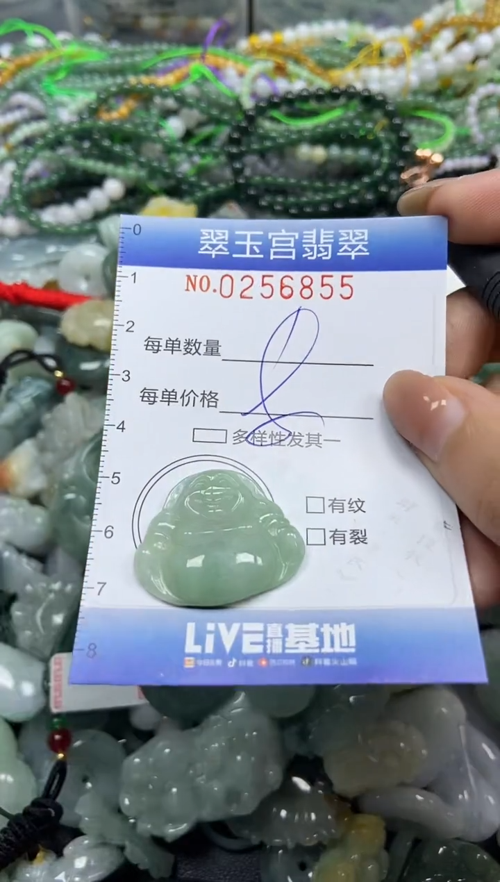 颈饰未镶嵌翡翠闪购C0256855