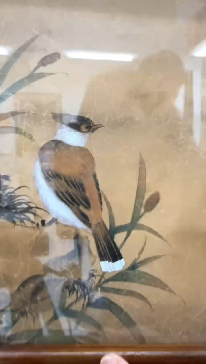 【闪购商品】纸本1新宋元绘画领军人物-胡东东