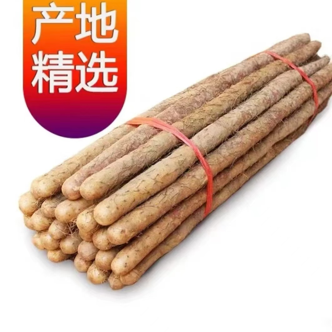 带箱五斤正宗铁棍麻山药皮薄细腻粉糯面甜 