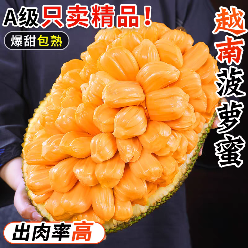 进口越南东部菠萝蜜整个直发黄肉干苞精选A级树熟热带水果6-14斤