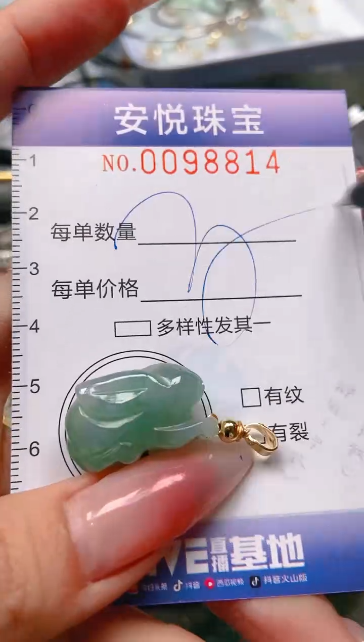 【闪购商品】翡翠颈饰未镶嵌闪购0098814