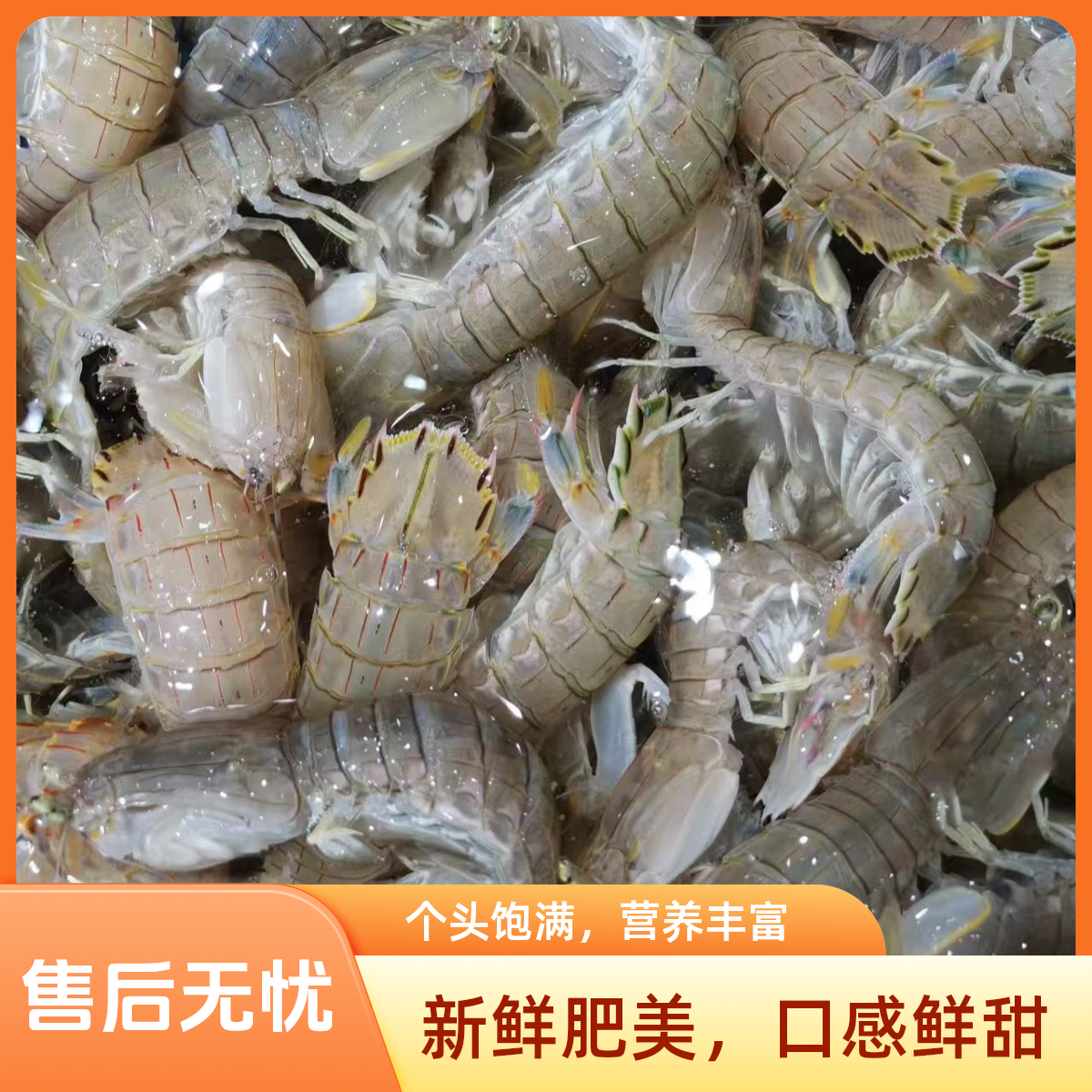 皮皮虾（大）  半斤