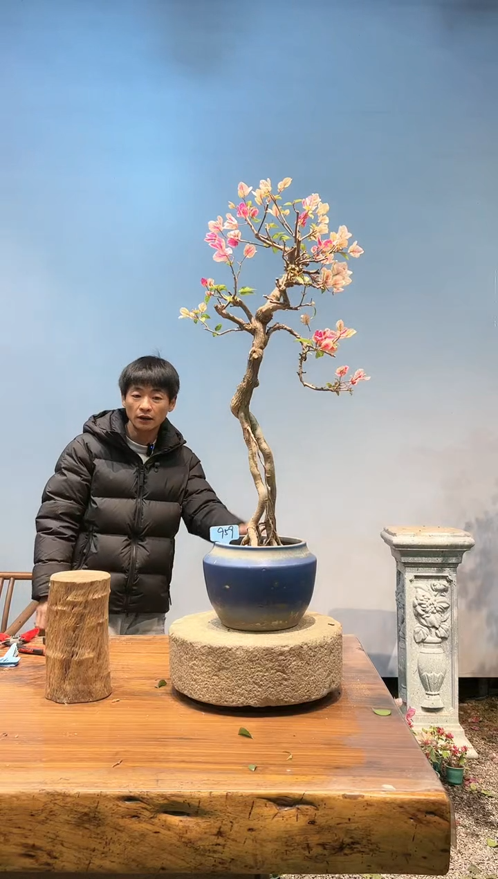 【闪购商品】aa959