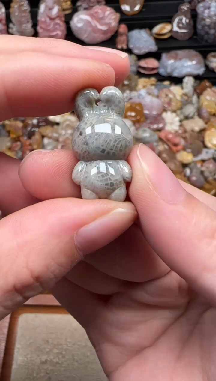 颈饰未镶嵌硅化珊瑚（珊瑚玉）566