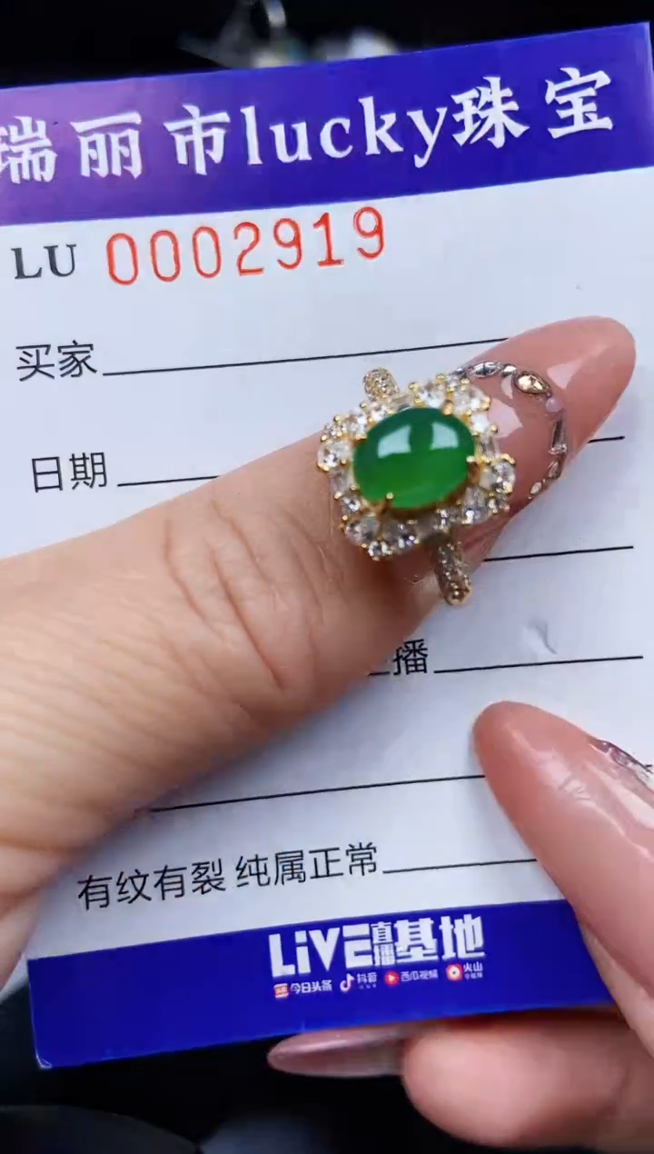 翡翠银S925镶嵌颈饰2919