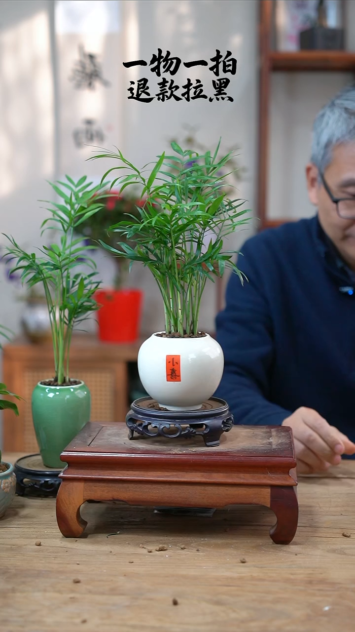 完全开放拾***基椰子052