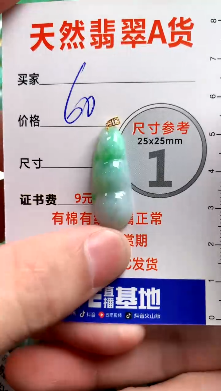 翡翠18K金镶嵌颈饰14002827