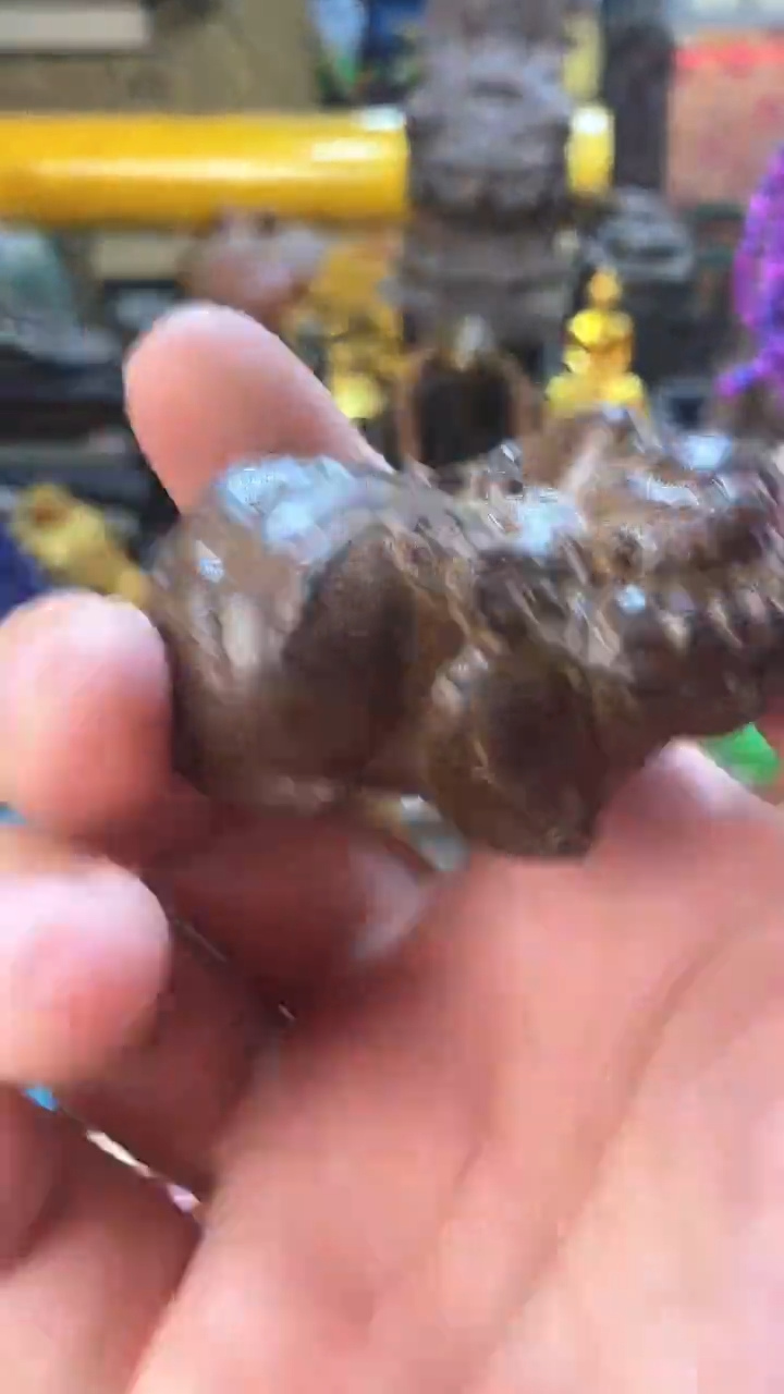 木木--------（晓晓甄选）