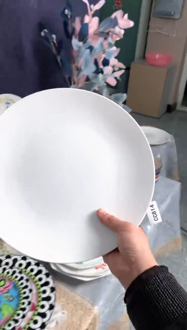 【闪购商品】瓷片CC815陶瓷没有完美无瑕陶瓷2个8寸