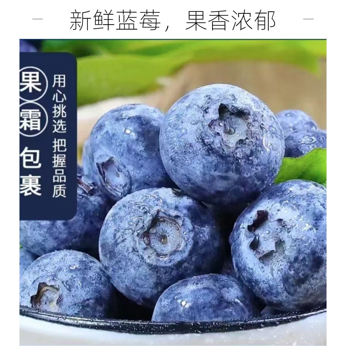 【次日达】云南抚仙湖花香蓝莓新鲜采摘发货特大果21-18mm净重100g/盒云南省