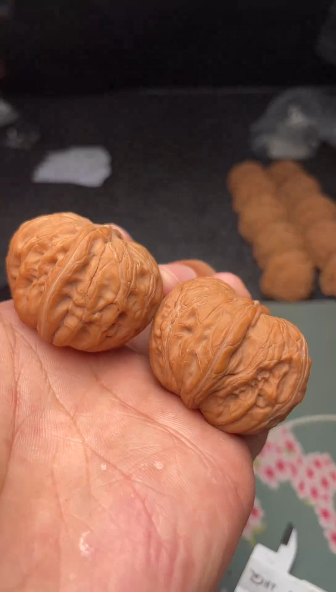 把件文玩核桃a361    元宝 40尺