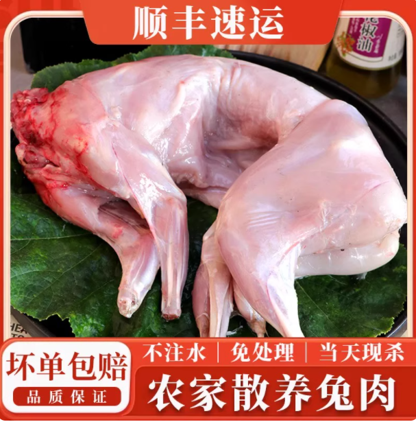 AA家庭实惠装 沂蒙山2只新鲜兔肉整只 去头当天现杀4-4.5斤净重