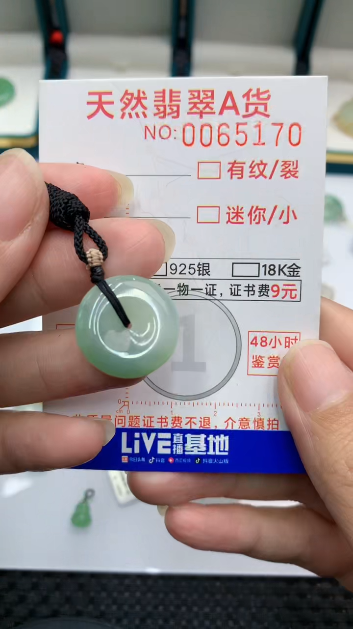 【闪购商品】翡翠颈饰未镶嵌            8