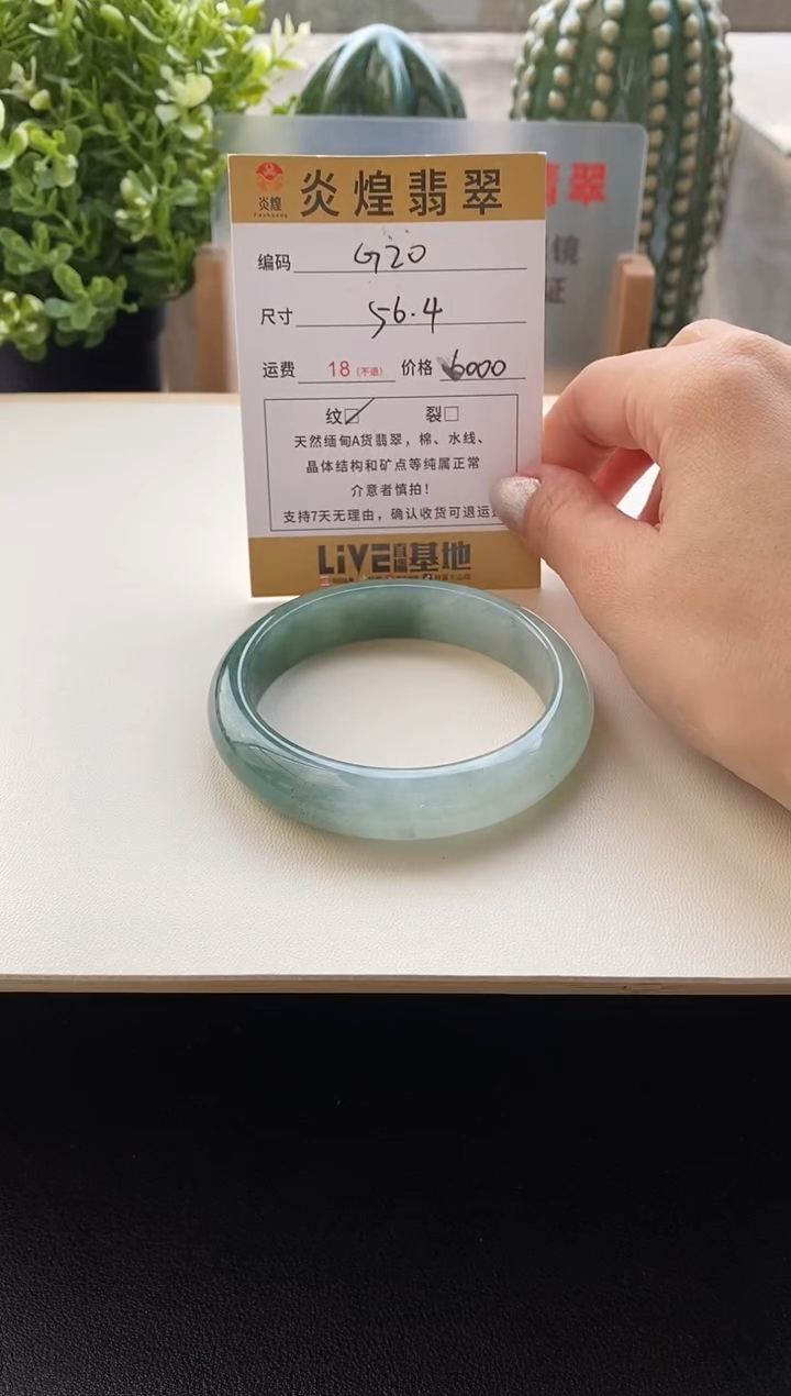 未镶嵌手镯翡翠圈口56.5编码G20