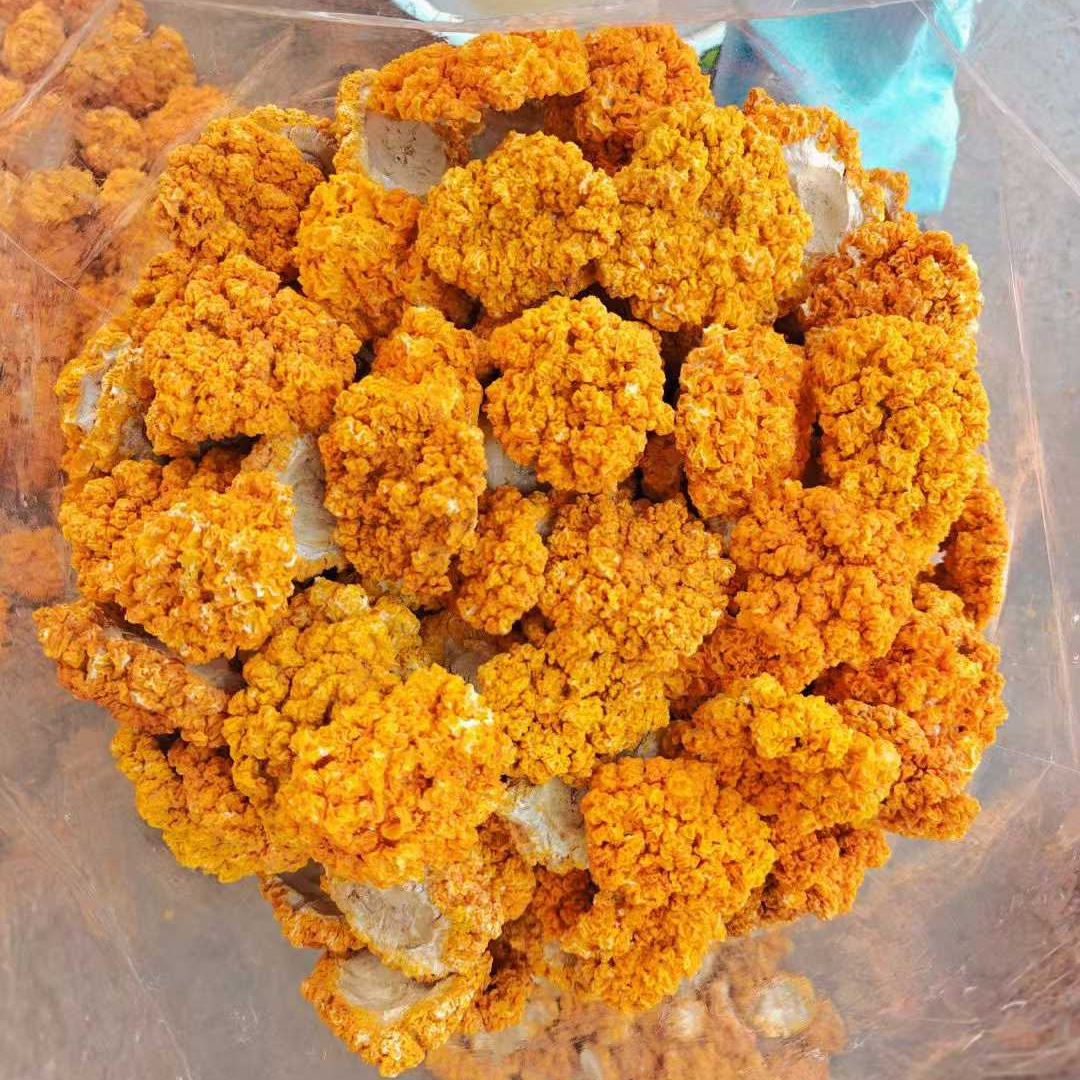云南金耳食用干货