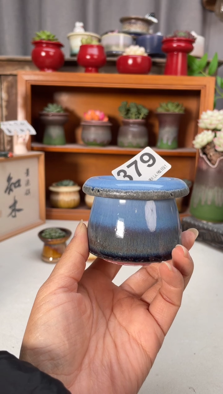 瓷片379知木小芳花盆