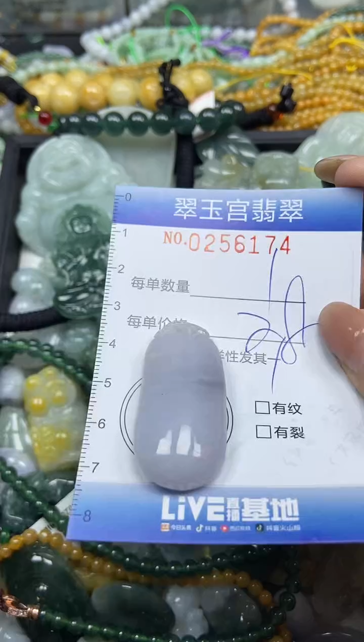 颈饰未镶嵌翡翠闪购C0256174