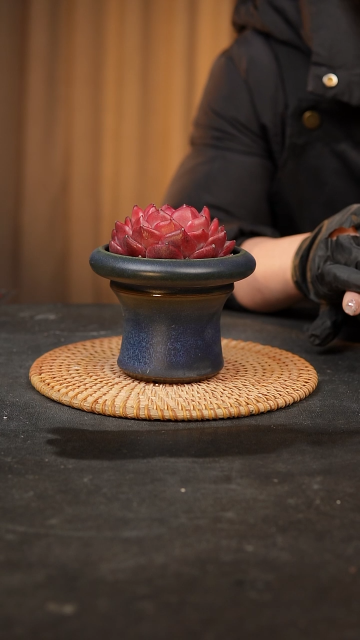 【闪购商品】瓷片泥泥手工花盆口9高9