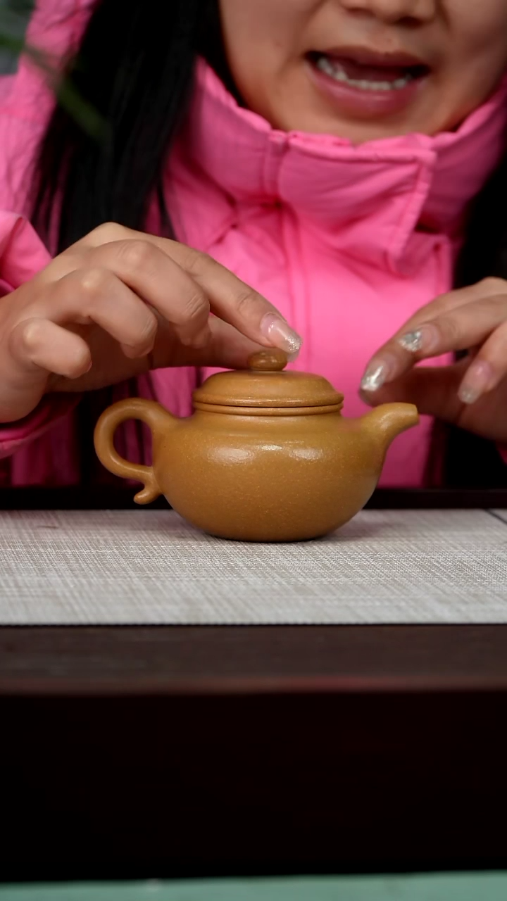 【闪购商品】宜兴原矿紫砂壶茶壶200C