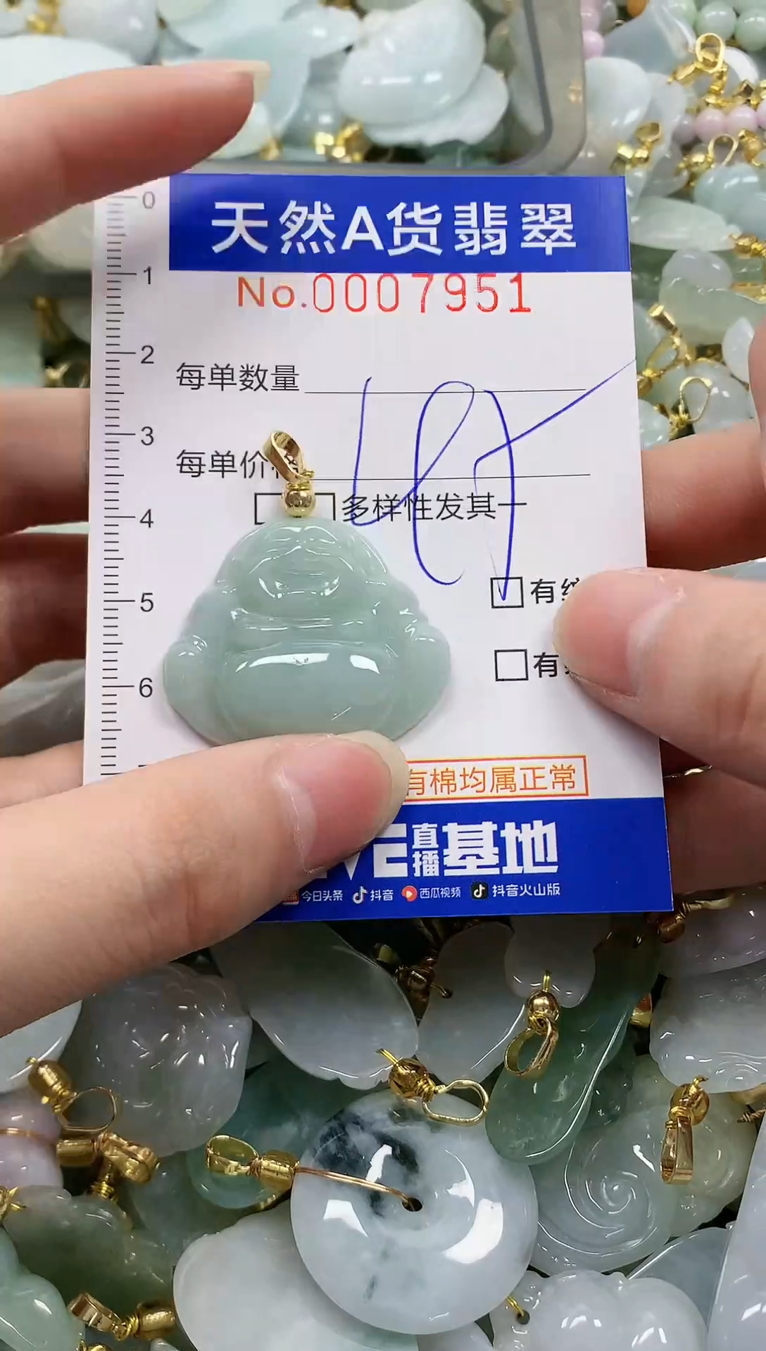 颈饰未镶嵌翡翠纯天然a货翡翠